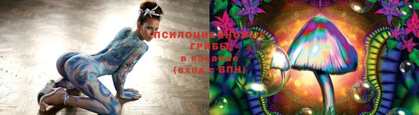 герыч Михайловск