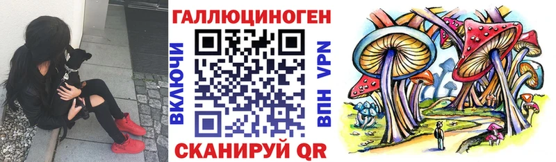 Псилоцибиновые грибы Psilocybe  Купить где  Котельнич 